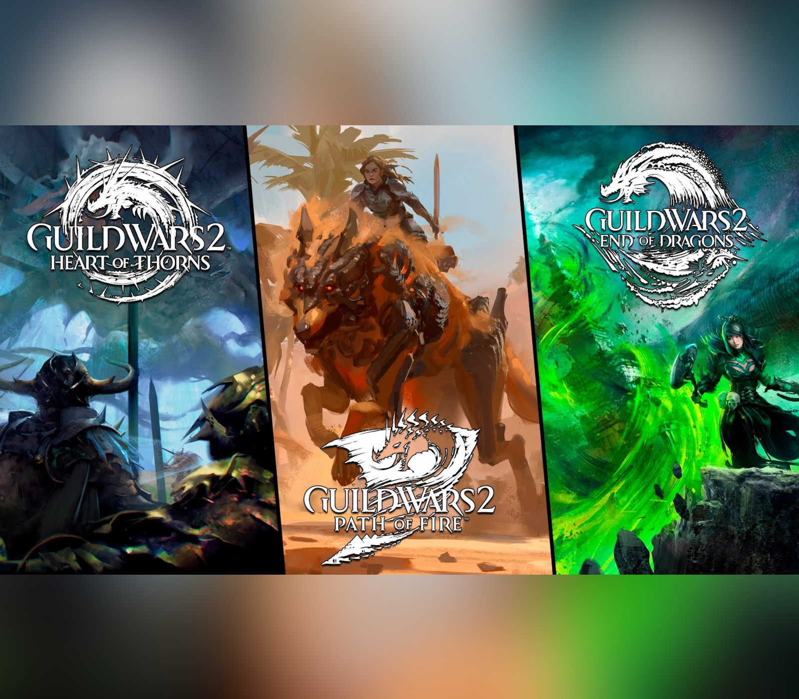 Guild Wars 2: Elder Dragon Saga Коллекция Digital Download Ключ