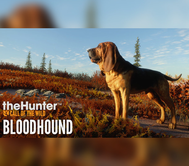 theHunter: Call of the Wild - Bloodhound DLC Steam Ключ