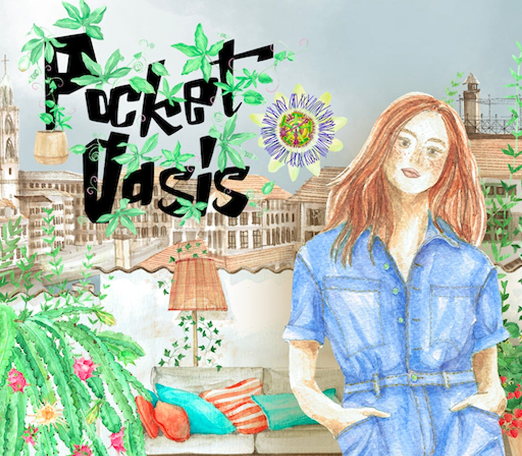 Pocket Oasis PC Steam Ключ