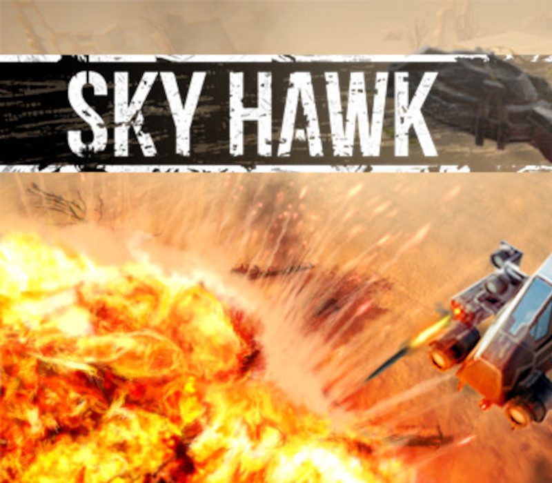 Sky Hawk Steam Ключ
