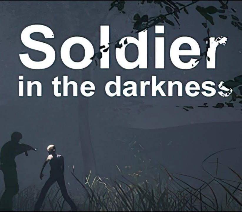 Soldier in the darkness Steam Ключ
