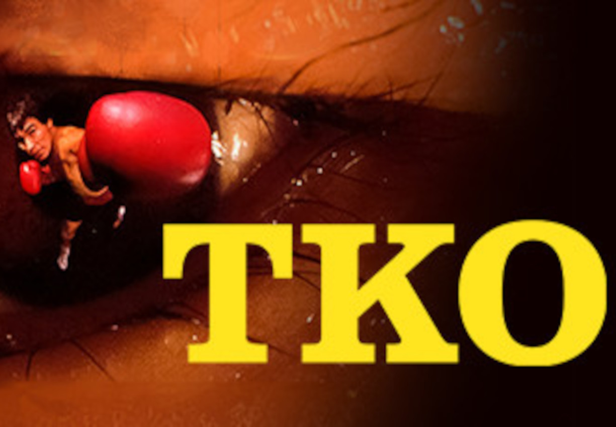 TKO Steam Ключ