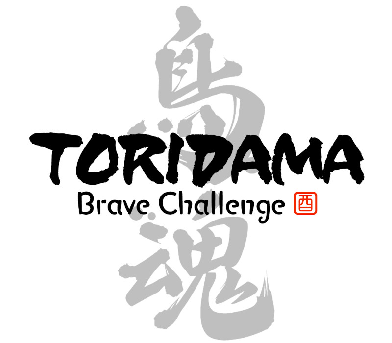 TORIDAMA: Brave Challenge Steam Ключ