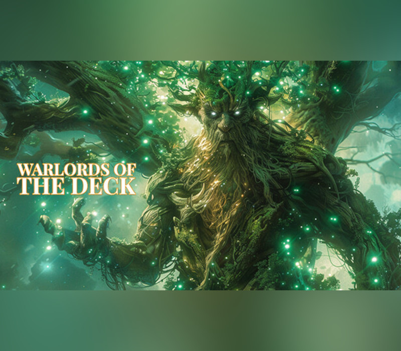 Warlords of the Deck PC Steam Ключ