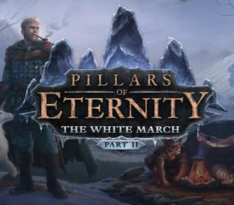 Pillars of Eternity - The White March Part II DLC EU Steam Ключ