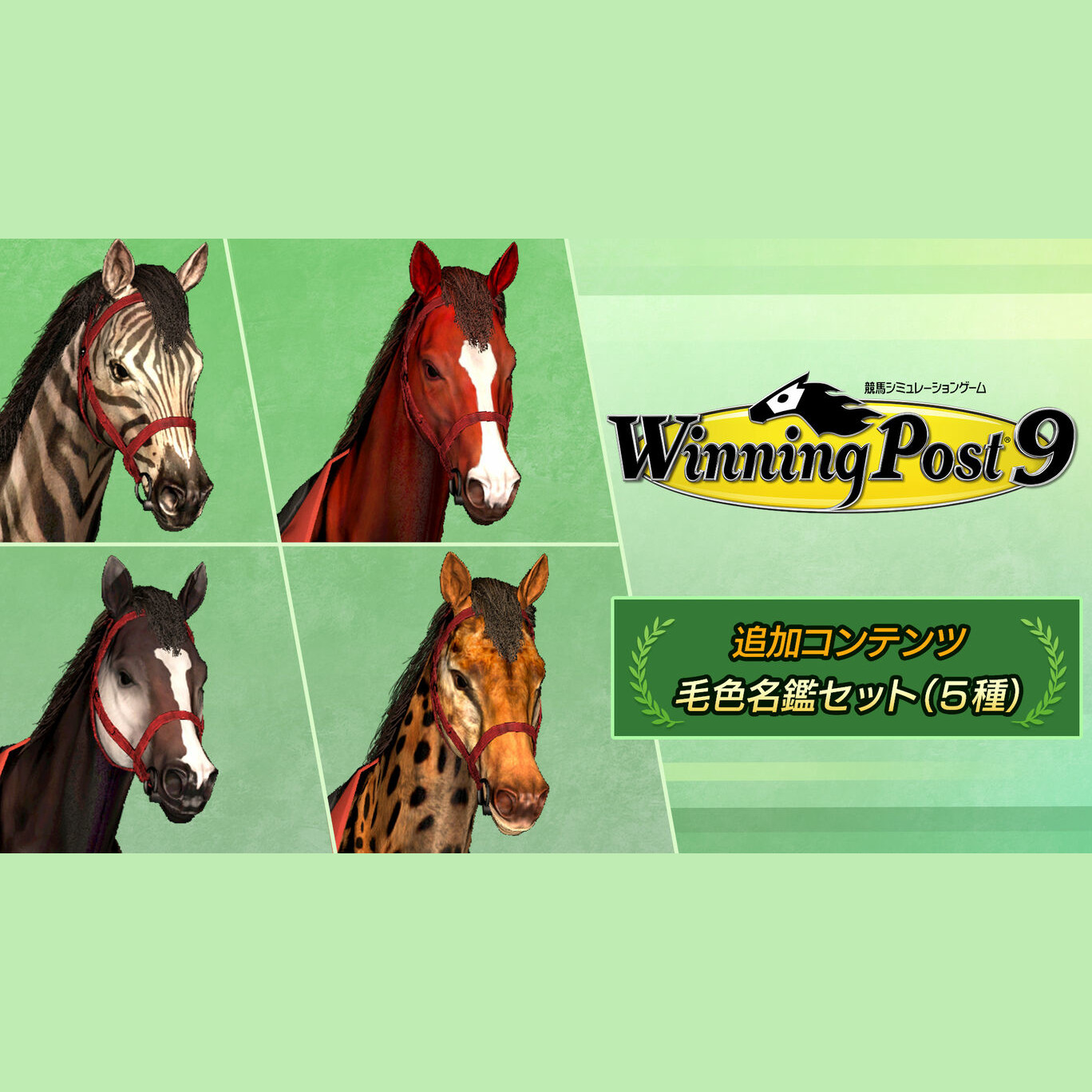 Winning Post 9 - Coat Color Directory Set (5 types) DLC Steam Подарок